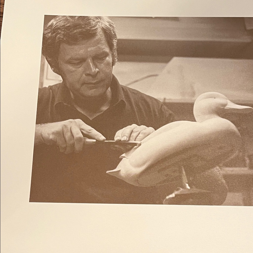 Mallards Duck Stamp Print - Picture 5 of 6